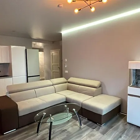 Apartment Nemunaiciai