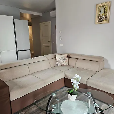 Apartamento Nemunaiciai Kaunas